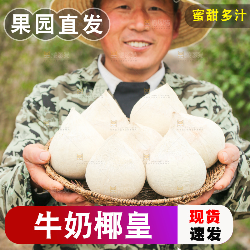 手里拿着牛奶椰皇