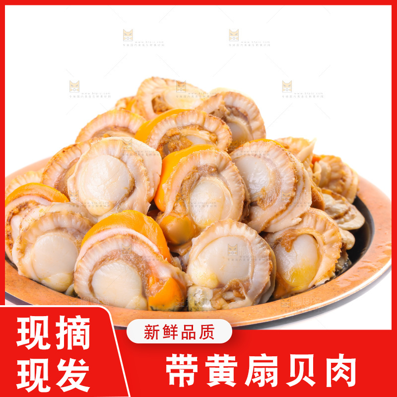白底上的带黄扇贝肉