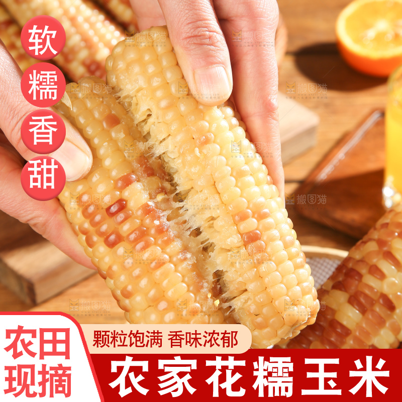 深底上的花糯玉米