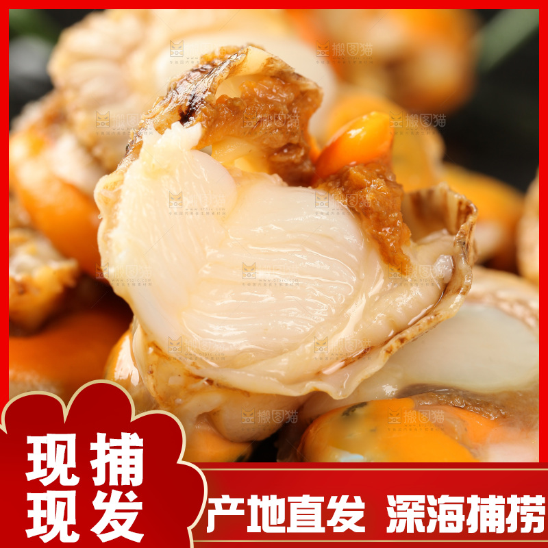 深底上的带黄扇贝肉