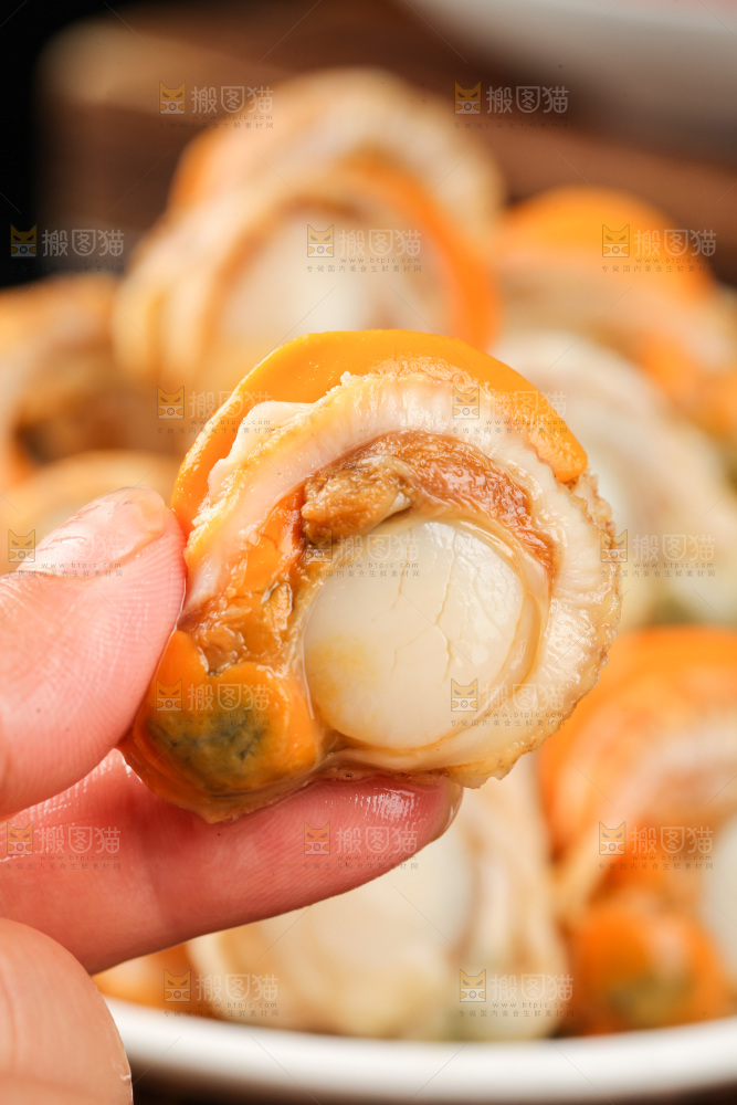 深底上的带黄扇贝肉