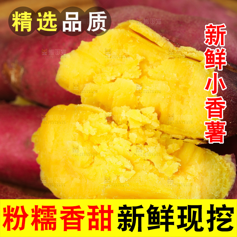 深底上的天目山小香薯