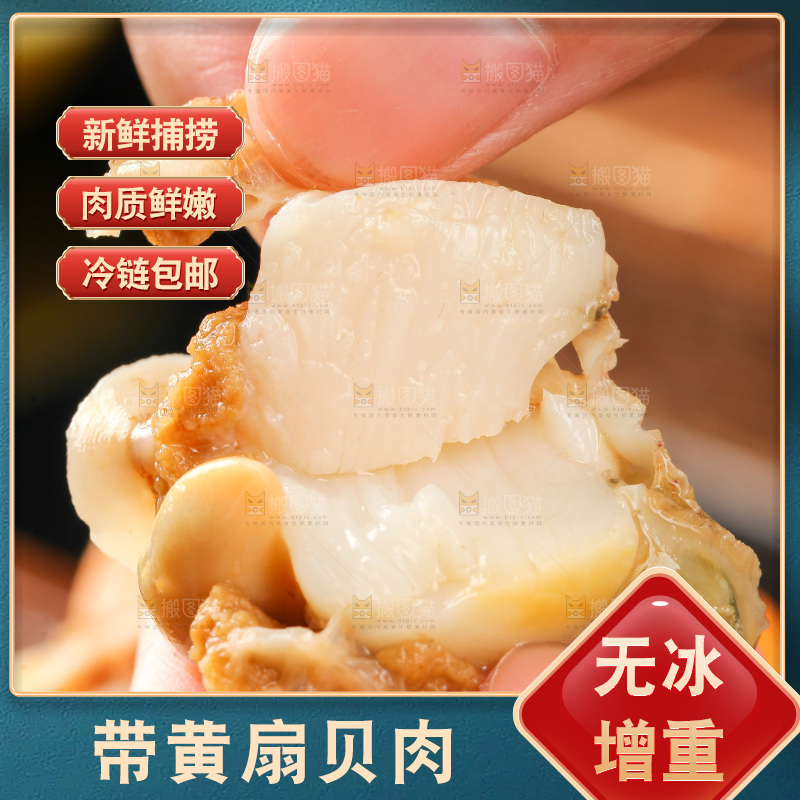 深底上的带黄扇贝肉