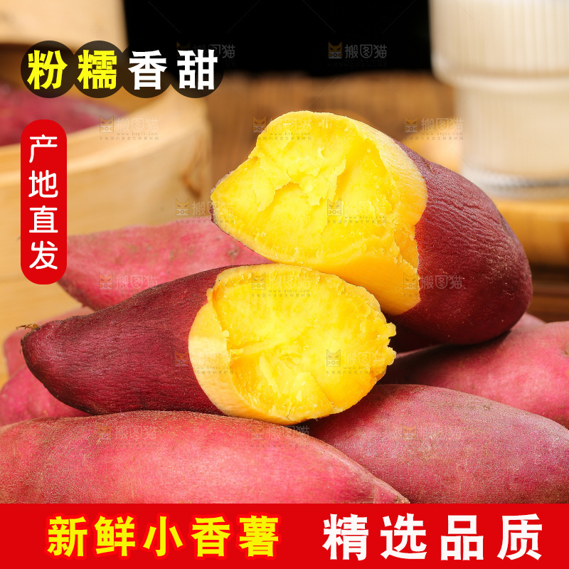 深底上的天目山小香薯