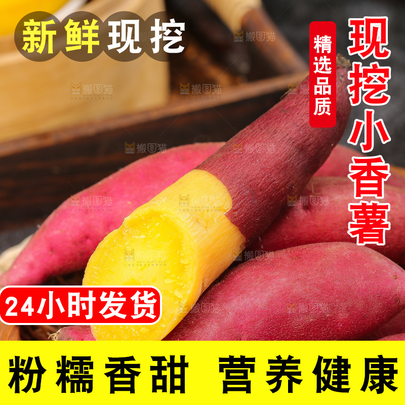深底上的天目山小香薯