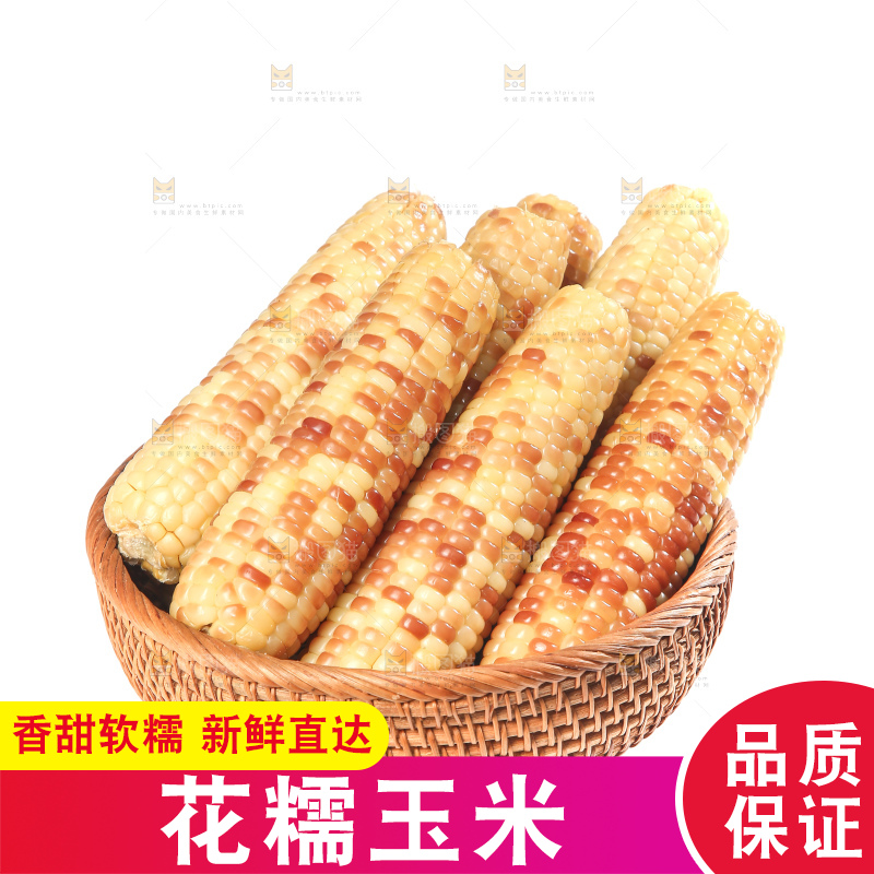 白底上的花糯玉米