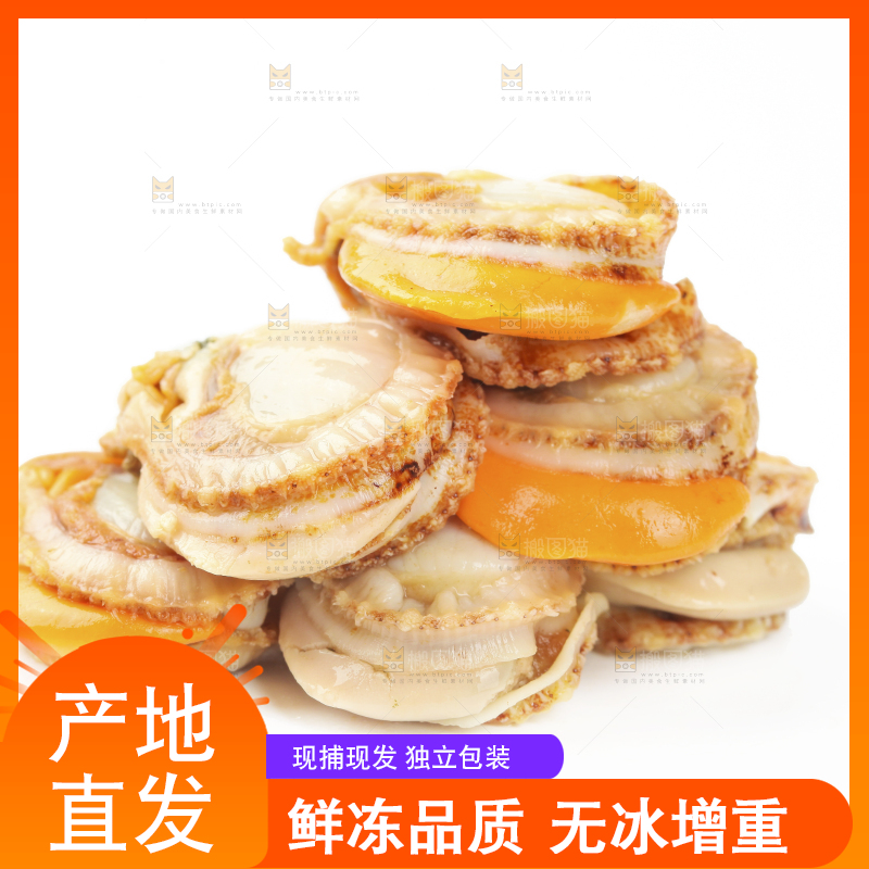 白底上的带黄扇贝肉