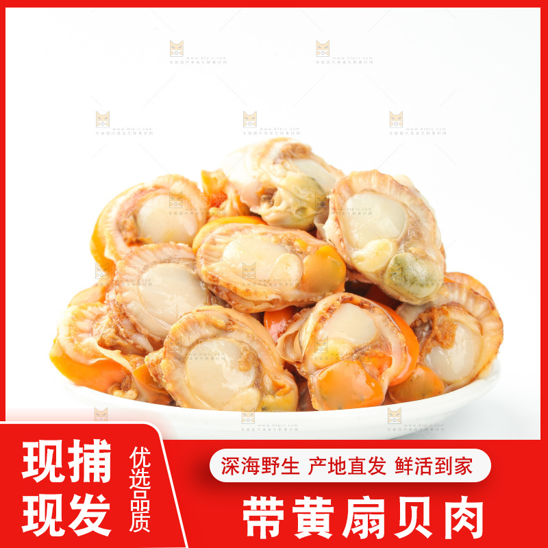白底上的带黄扇贝肉