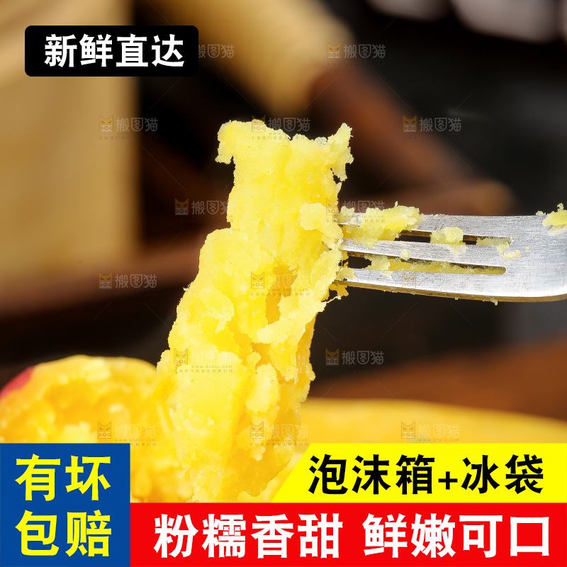 深底上的天目山小香薯
