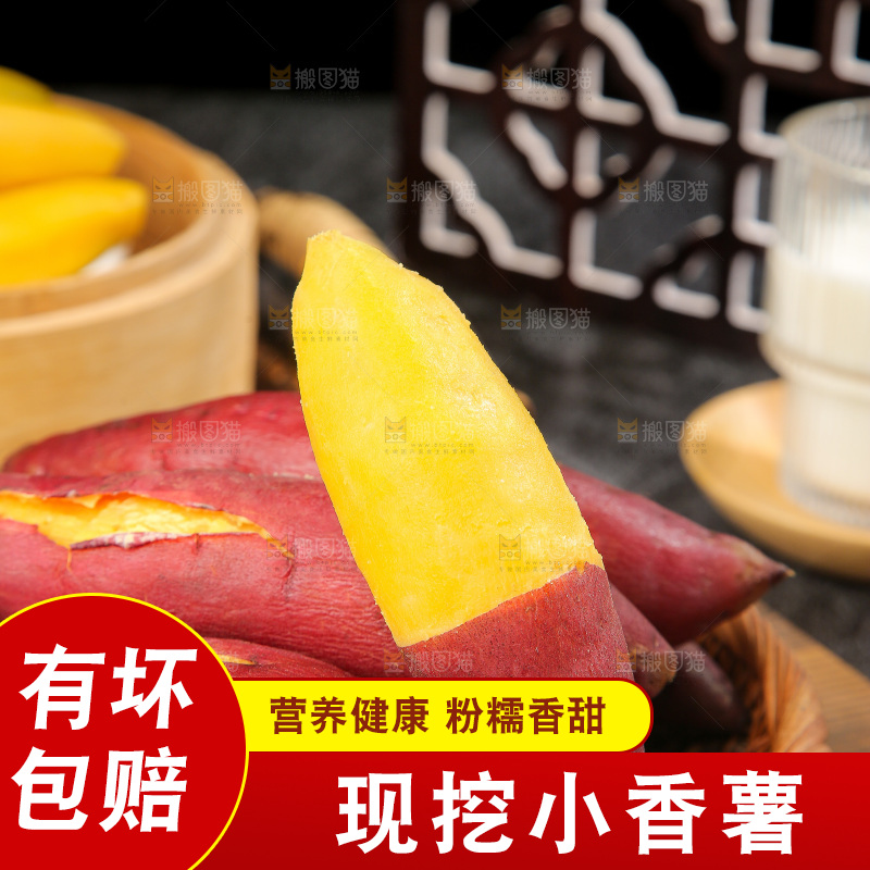 深底上的天目山小香薯