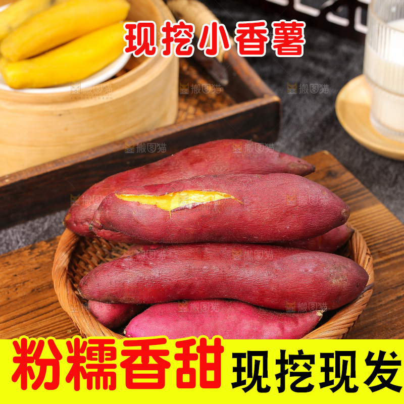 深底上的天目山小香薯