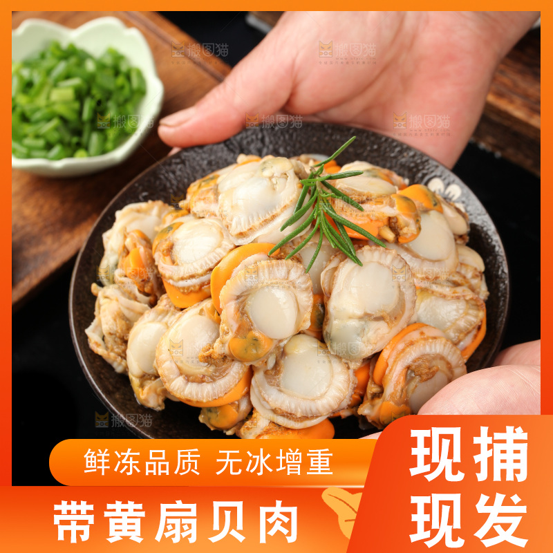 深底上的带黄扇贝肉