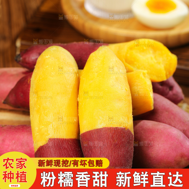 深底上的天目山小香薯