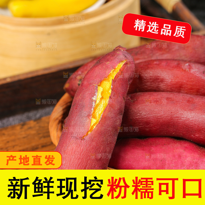 深底上的天目山小香薯
