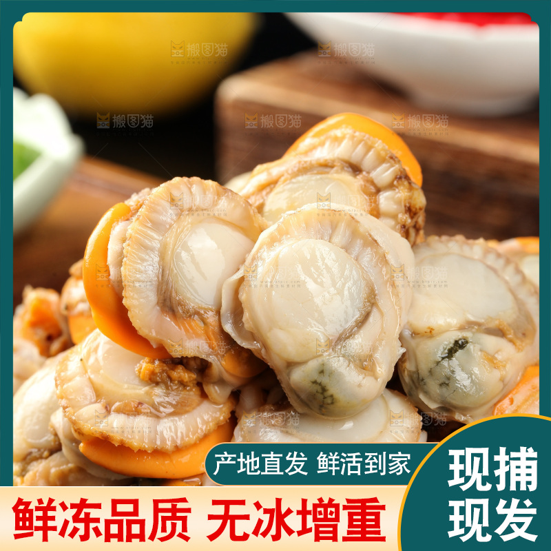深底上的带黄扇贝肉