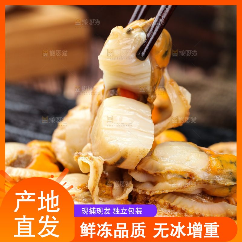 深底上的带黄扇贝肉