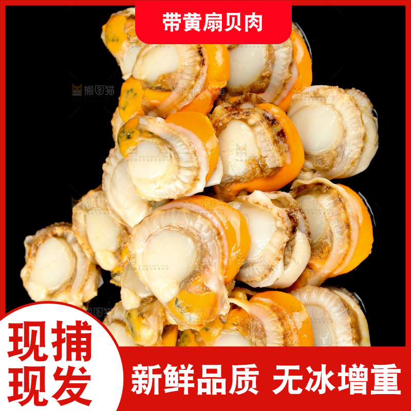 深底上的带黄扇贝肉