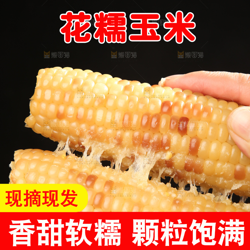 深底上的花糯玉米
