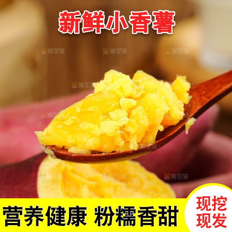 深底上的天目山小香薯