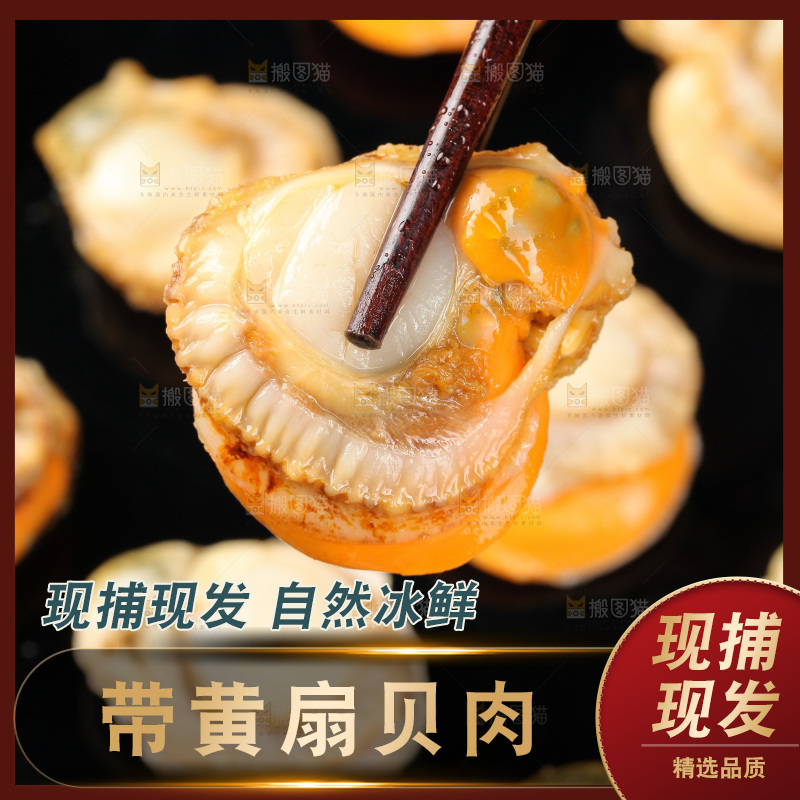深底上的带黄扇贝肉