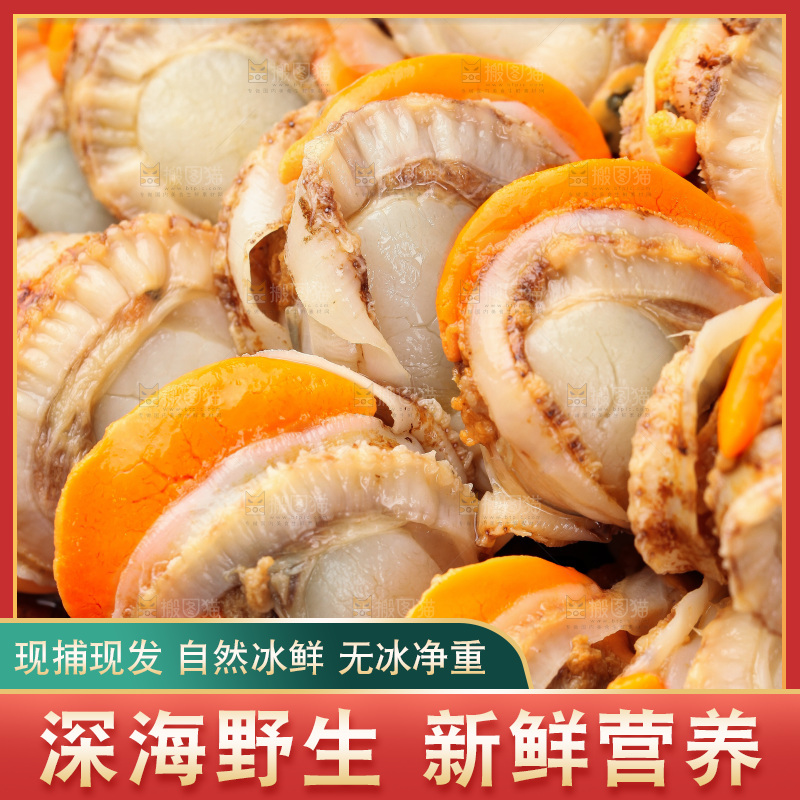 深底上的带黄扇贝肉