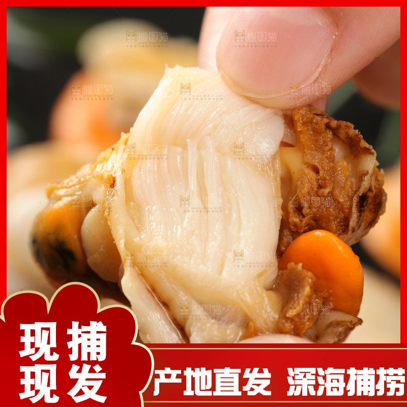 深底上的带黄扇贝肉