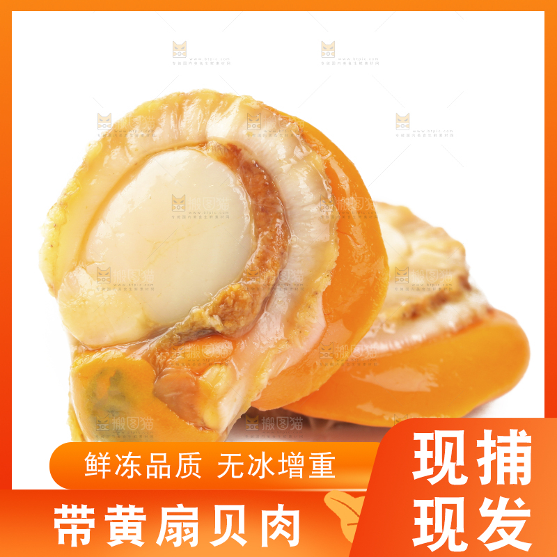 白底上的带黄扇贝肉