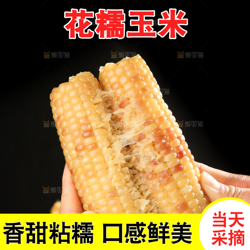 深底上的花糯玉米