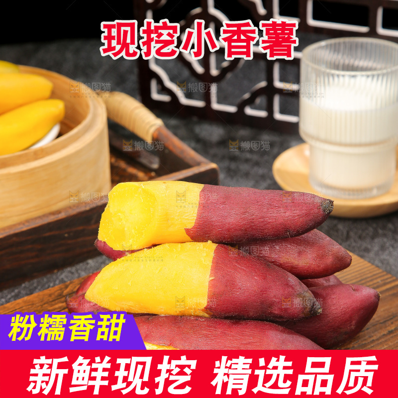 深底上的天目山小香薯