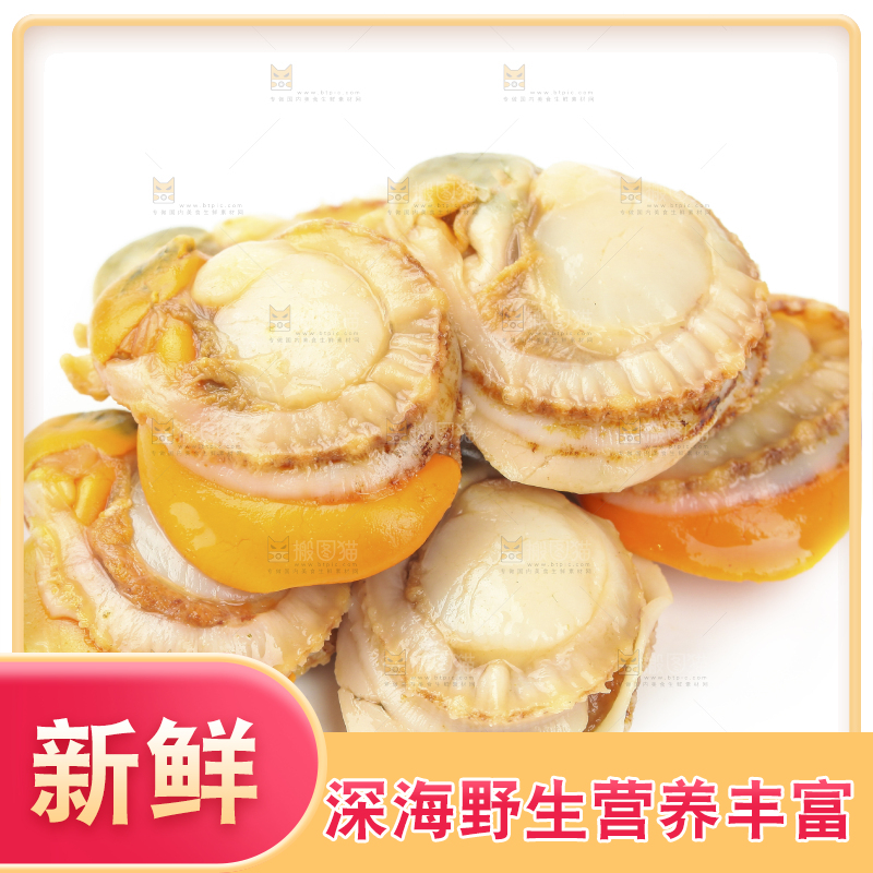 白底上的带黄扇贝肉