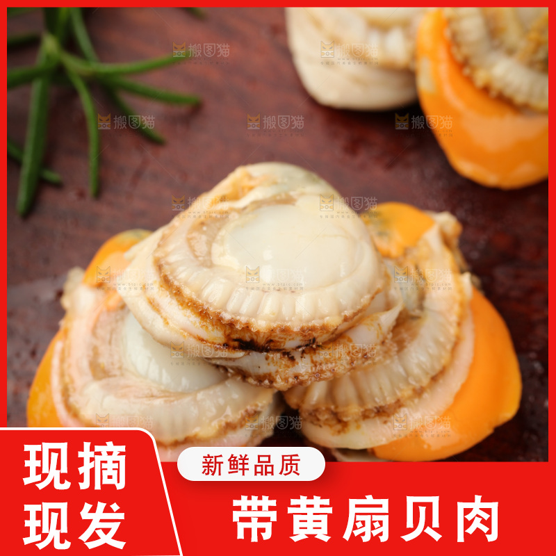 深底上的带黄扇贝肉