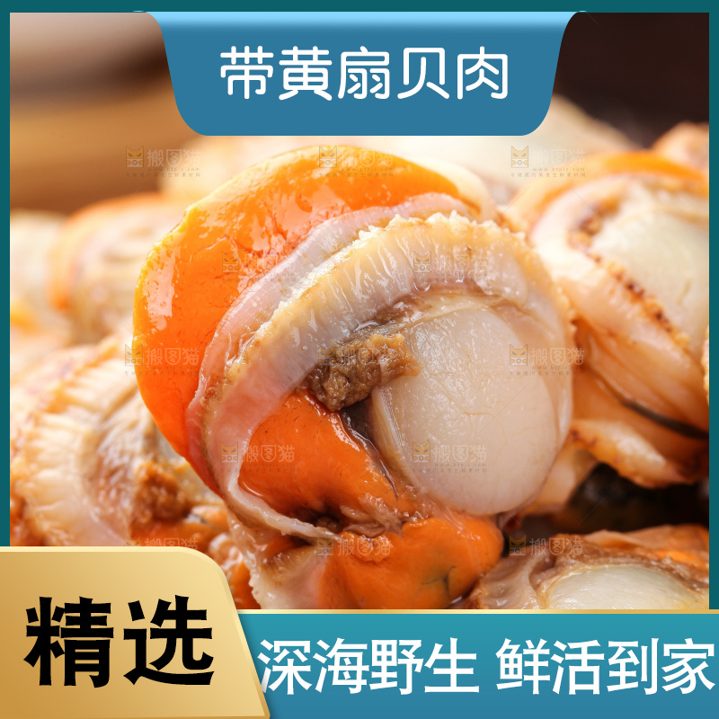 深底上的带黄扇贝肉