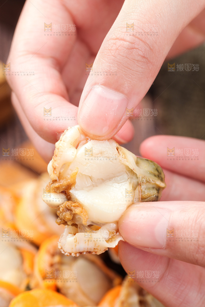 深底上的带黄扇贝肉