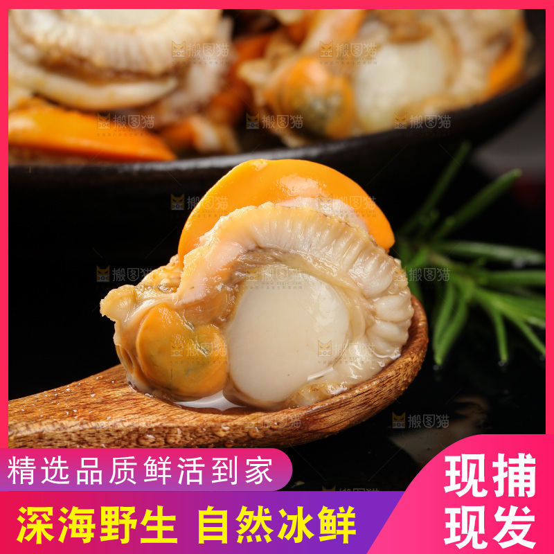 深底上的带黄扇贝肉