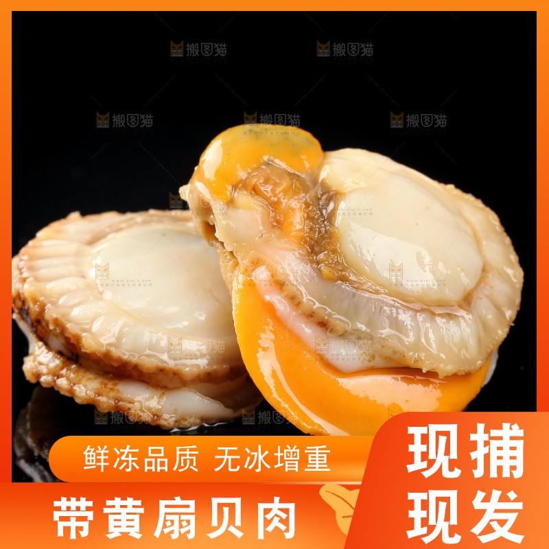 深底上的带黄扇贝肉