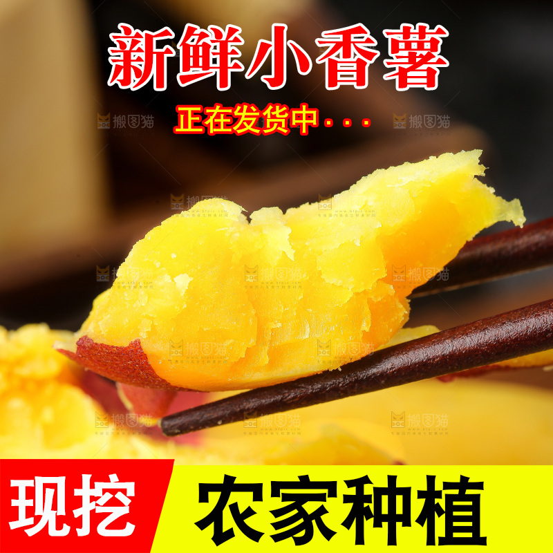 深底上的天目山小香薯