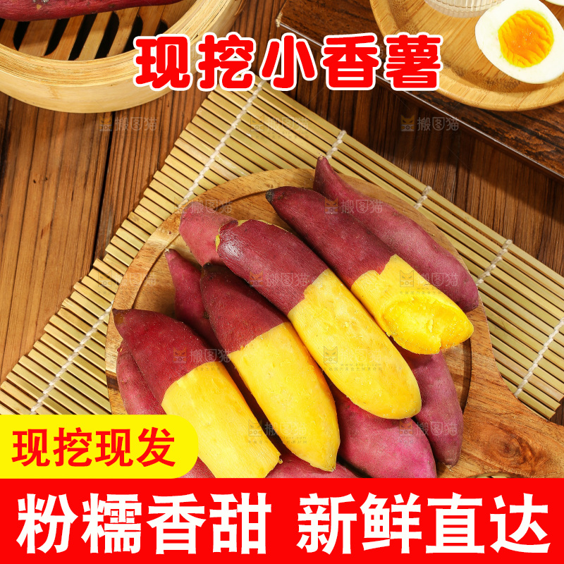 深底上的天目山小香薯