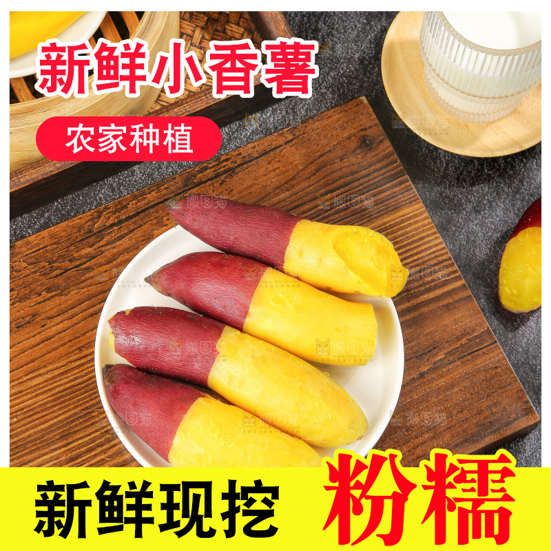 深底上的天目山小香薯