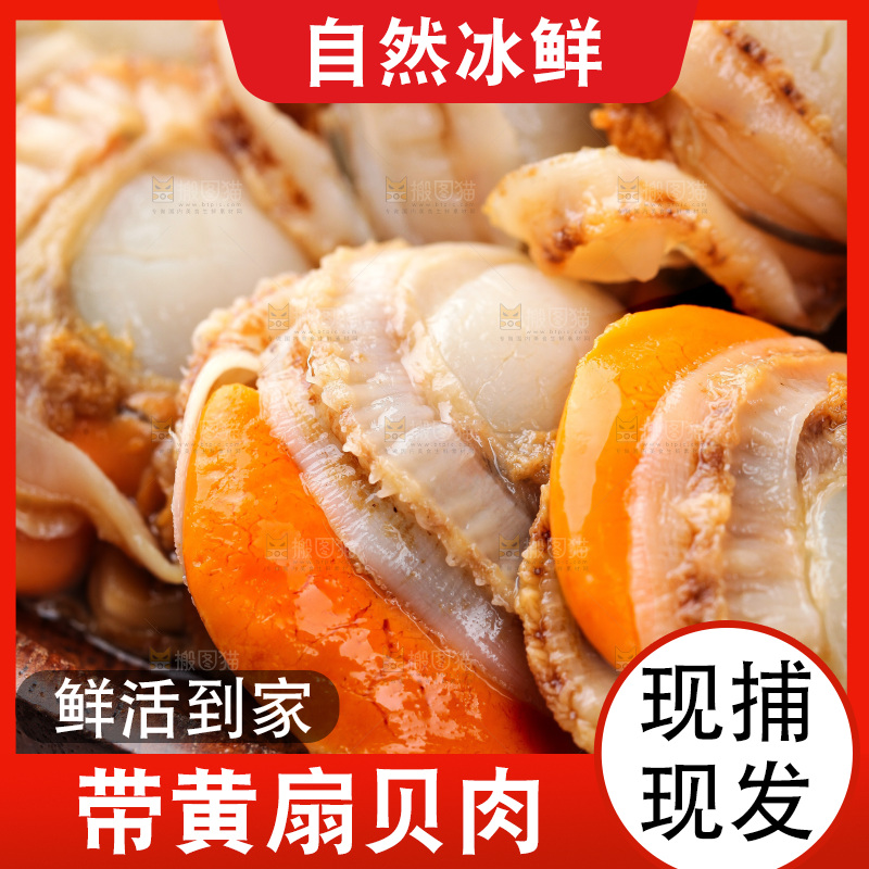 深底上的带黄扇贝肉