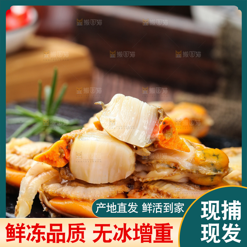深底上的带黄扇贝肉