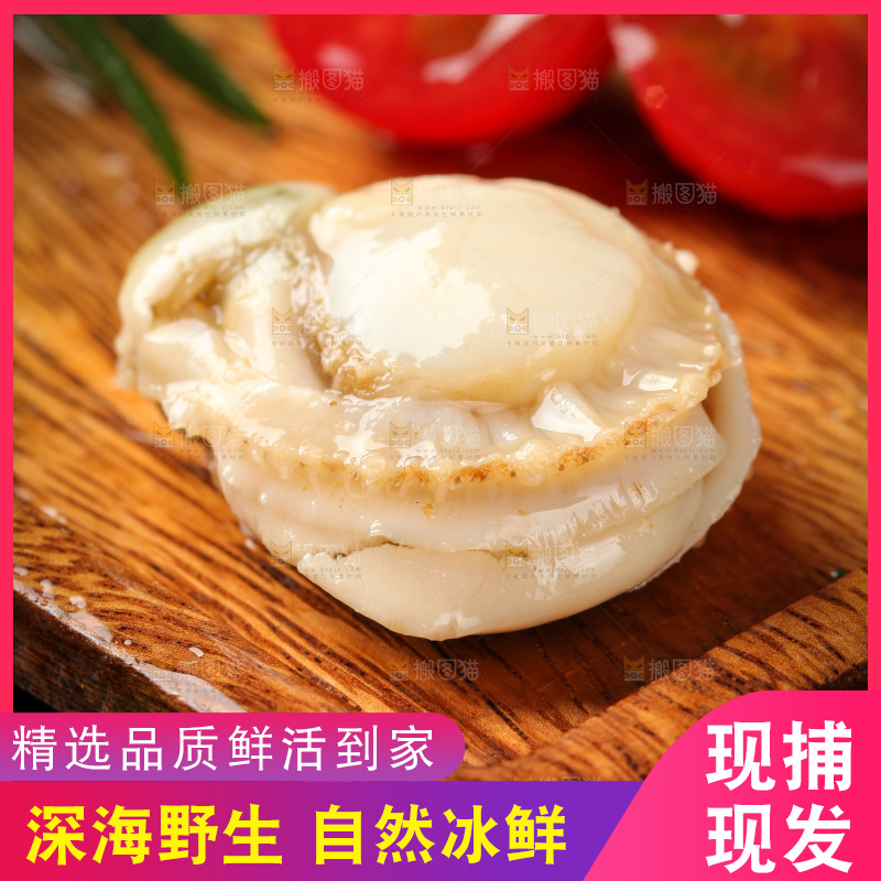 深底上的带黄扇贝肉