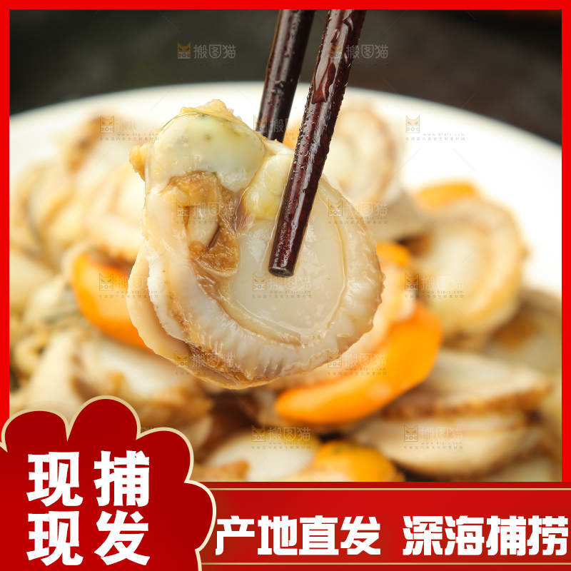 深底上的带黄扇贝肉