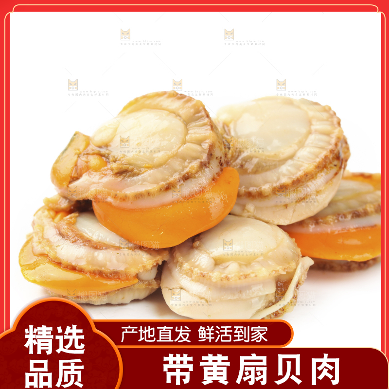 白底上的带黄扇贝肉