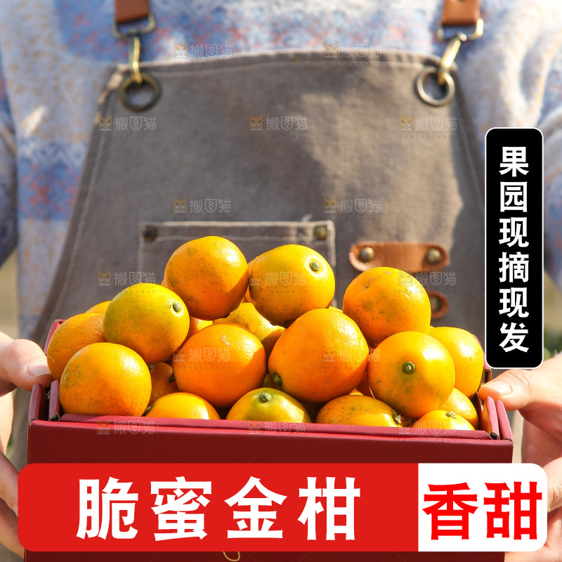手里拿着脆蜜金柑