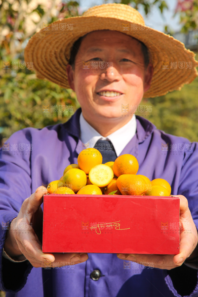 手里拿着脆蜜金柑
