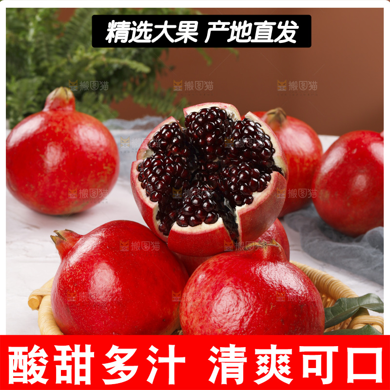 浅底上的黒籽酸石榴