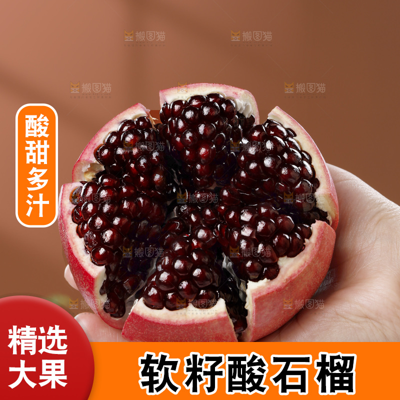 浅底上的黒籽酸石榴