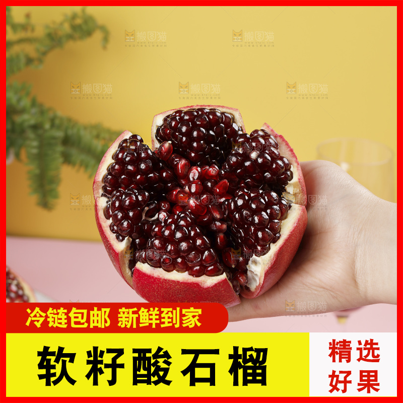 浅底上的黒籽酸石榴
