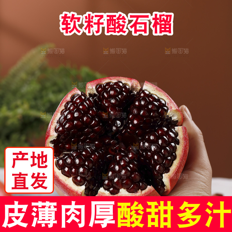 浅底上的黒籽酸石榴