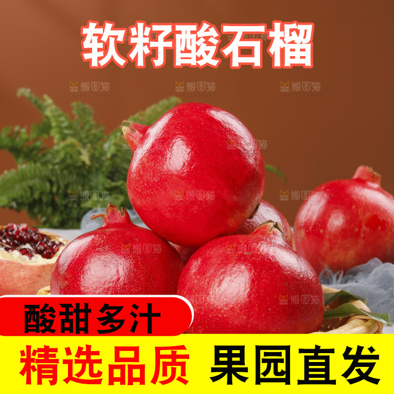 浅底上的黒籽酸石榴